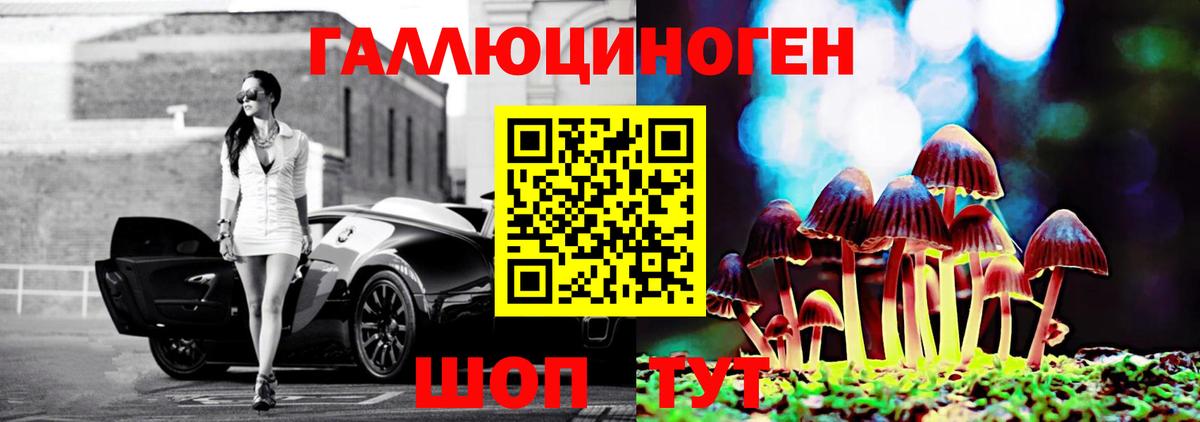Североуральск  где можно купить   Вход с VPN  Псилоцибиновые грибы мицелий 