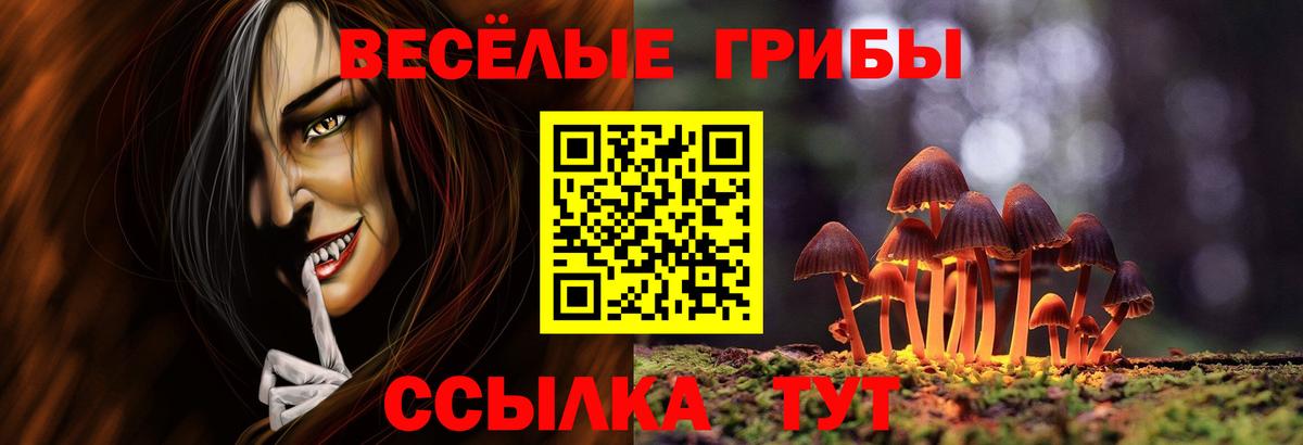 Псилоцибиновые грибы Magic Shrooms Североуральск