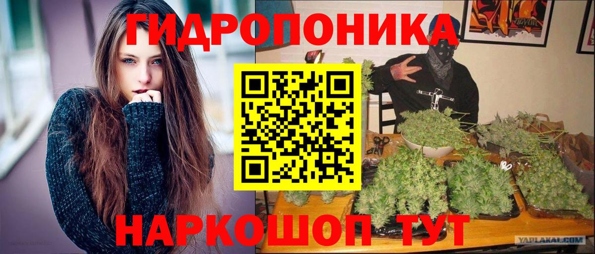 Канабис ГИДРОПОН  Марихуана ГИДРОПОН  Североуральск  Вход с VPN  Шишки марихуана конопля 